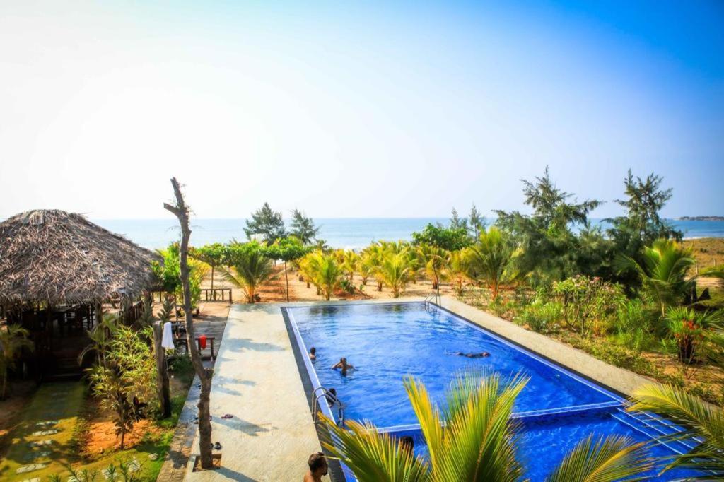 Whisky Point Surf Cabana Аругам Экстерьер фото